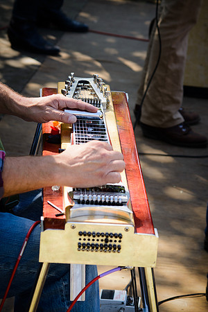 3rd Annual Wildflower Music Festival