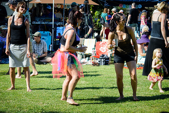 3rd Annual Wildflower Music Festival