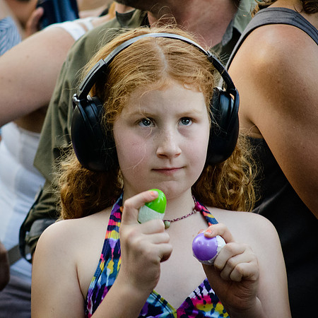 3rd Annual Wildflower Music Festival