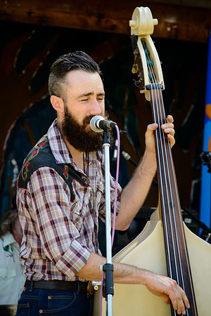 3rd Annual Wildflower Music Festival