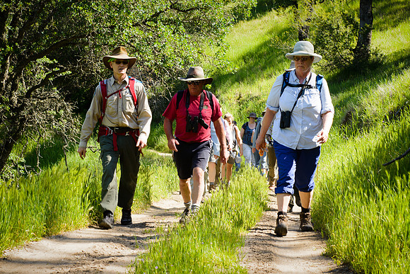 Sutter Buttes