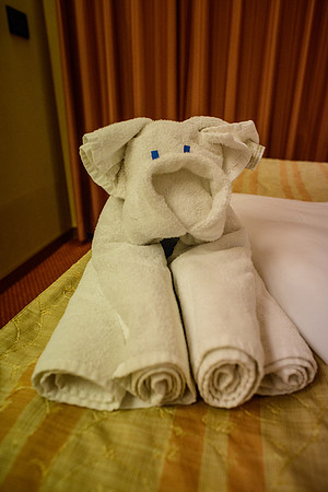Towel Art
