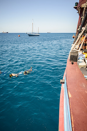 Barbados Black Pearl Jolly Roger 1