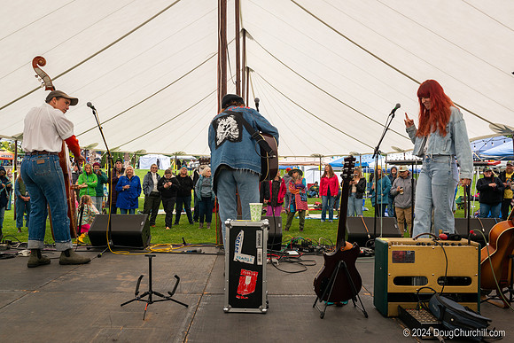 Wildflower Music Festival 2024