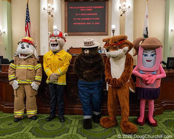911 for Kids