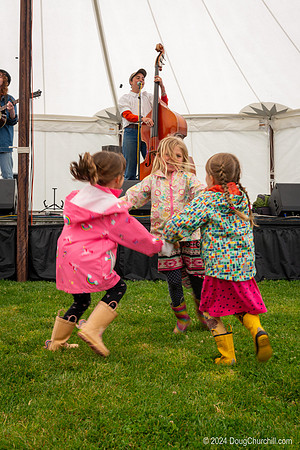 Wildflower Music Festival 2024