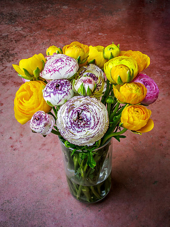 18•52 • ranunculus