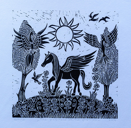 The Pegasus and the Phonixs
