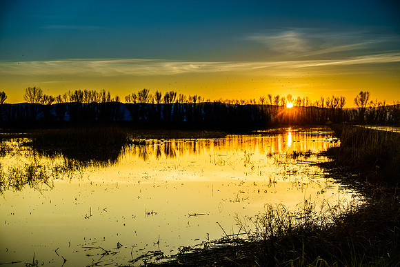 027•366 • 27 January 2016 • Colusa National Wildlife Refug