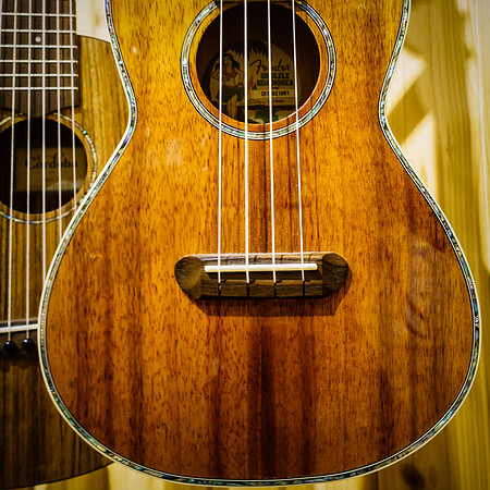 033•366 • 02 February 2016 • International Play Your Ukule