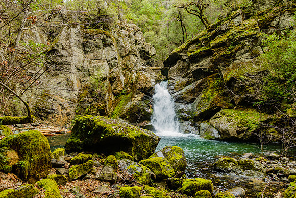 045•366 • 14 February 2016 • Hidden Falls