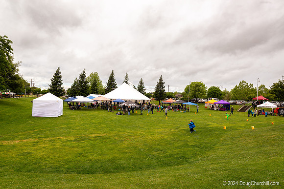Wildflower Music Festival 2024