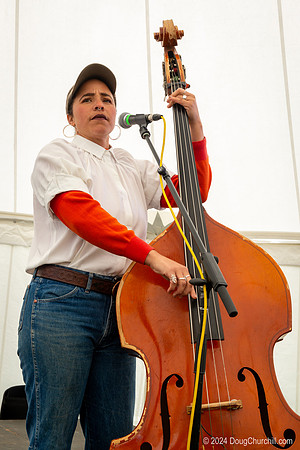 Wildflower Music Festival 2024