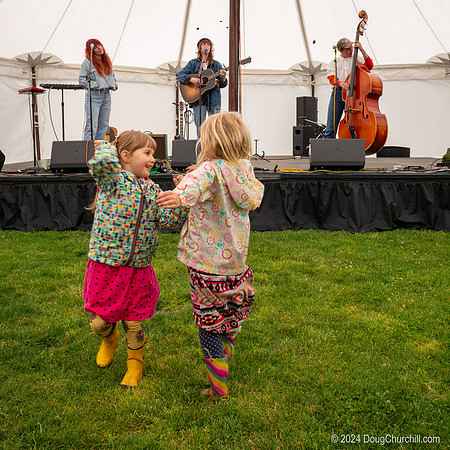 Wildflower Music Festival 2024
