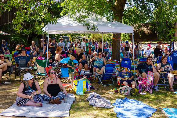 7th Annual Wildflower Music Festival