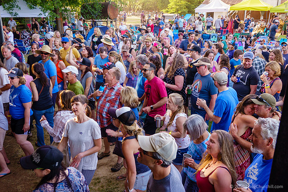 7th Annual Wildflower Music Festival