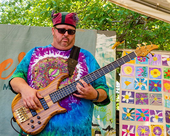 7th Annual Wildflower Music Festival