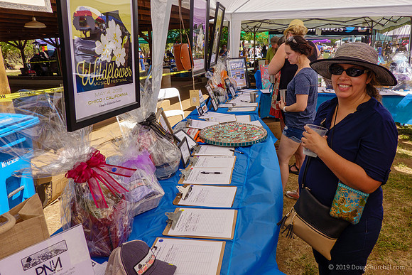 7th Annual Wildflower Music Festival