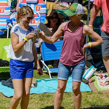 7th Annual Wildflower Music Festival