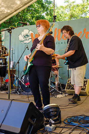 7th Annual Wildflower Music Festival