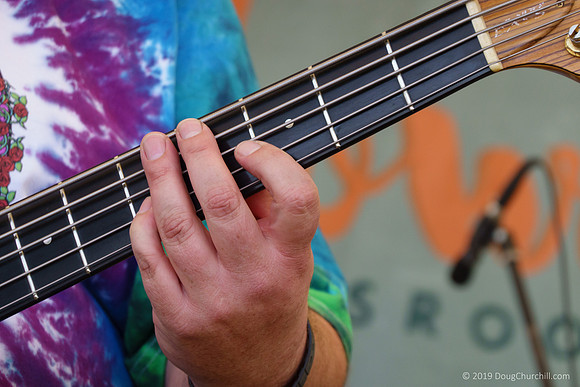 7th Annual Wildflower Music Festival