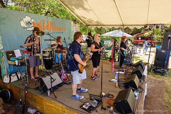 7th Annual Wildflower Music Festival