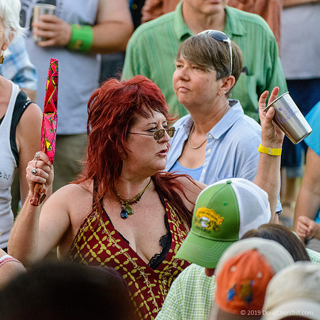 7th Annual Wildflower Music Festival
