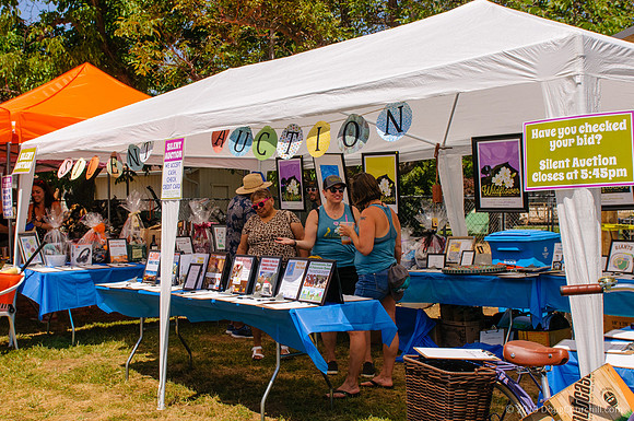 7th Annual Wildflower Music Festival