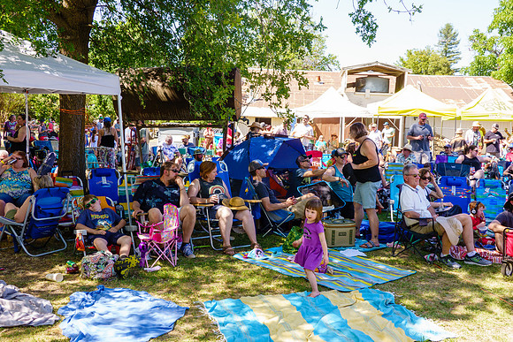 7th Annual Wildflower Music Festival