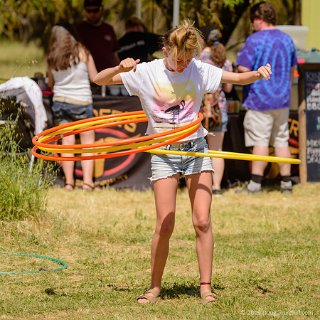 7th Annual Wildflower Music Festival