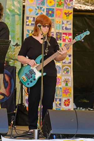 7th Annual Wildflower Music Festival