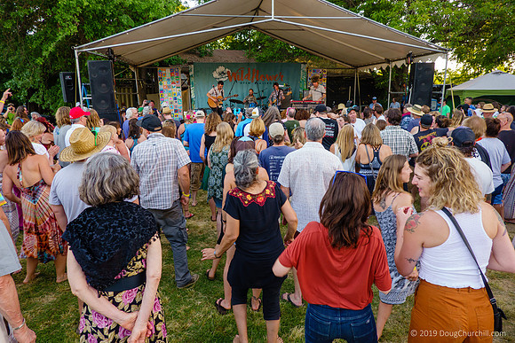 7th Annual Wildflower Music Festival