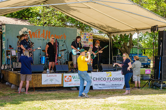 7th Annual Wildflower Music Festival