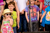 5th Annual Wildflower Music Festval