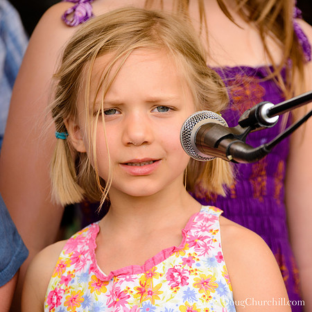 5th Annual Wildflower Music Festval