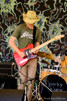 5th Annual Wildflower Music Festval