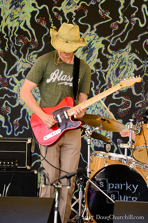 5th Annual Wildflower Music Festval