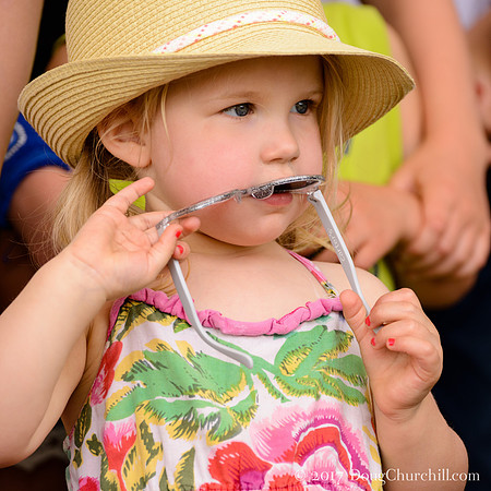 5th Annual Wildflower Music Festval