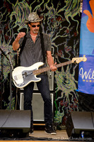 5th Annual Wildflower Music Festval
