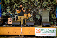 5th Annual Wildflower Music Festval