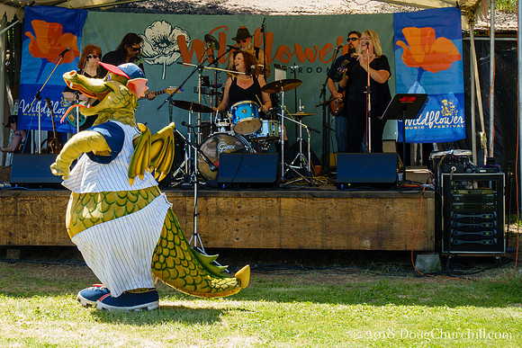 6th Annual Wildflower Music Festival