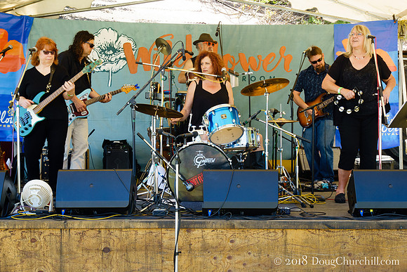 6th Annual Wildflower Music Festival