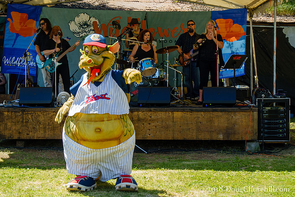 6th Annual Wildflower Music Festival