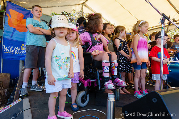 6th Annual Wildflower Music Festival
