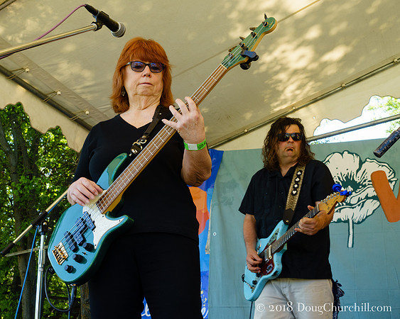 6th Annual Wildflower Music Festival