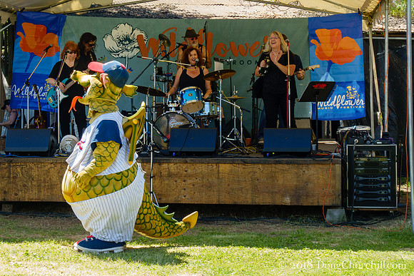 6th Annual Wildflower Music Festival