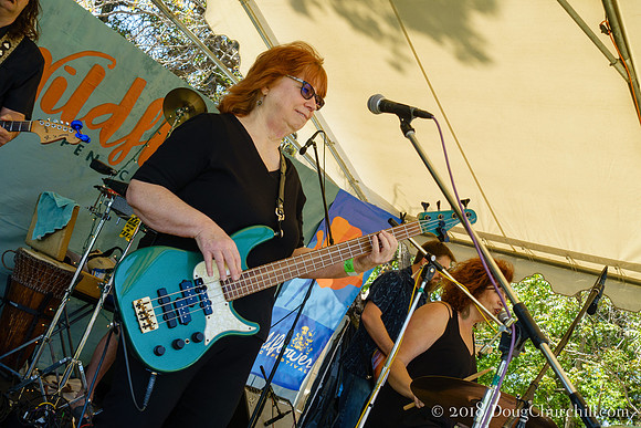 6th Annual Wildflower Music Festival