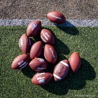 Tim Brown Mentor Mini Camp