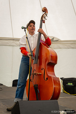 Wildflower Music Festival 2024