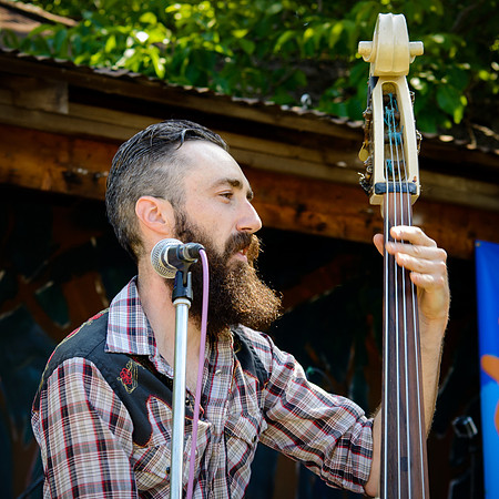 3rd Annual Wildflower Music Festival